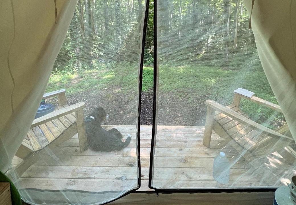 Photo of Others in Swannanoa
