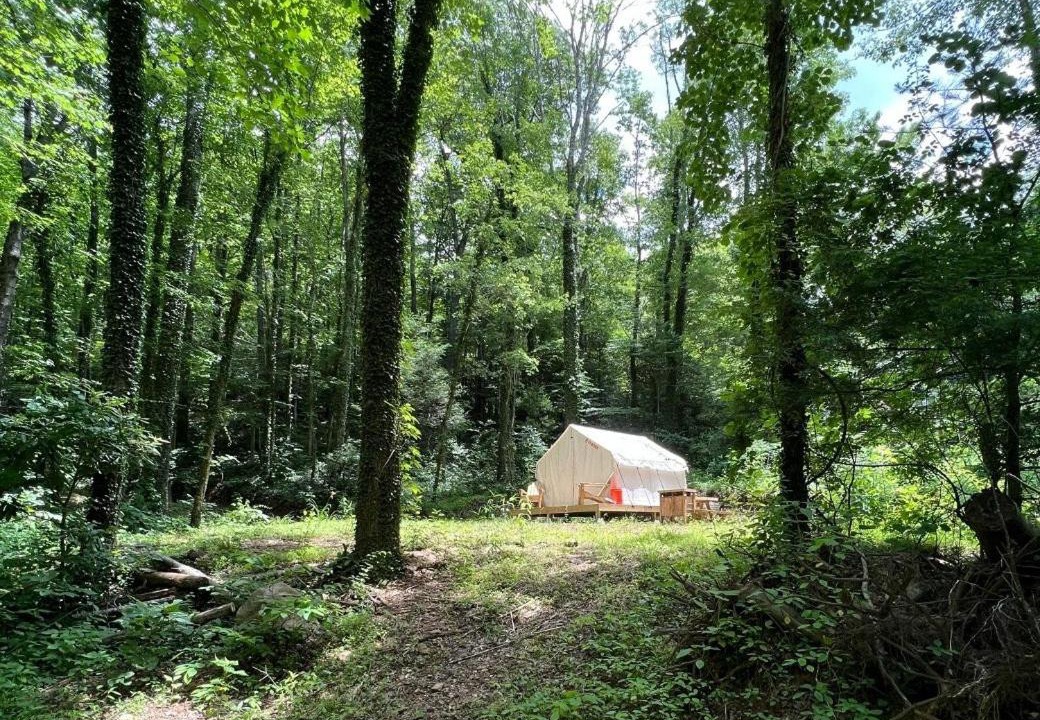 Photo of Others in Swannanoa