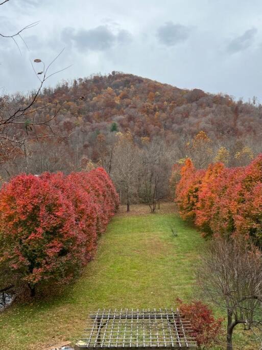 Photo of Others in Weaverville