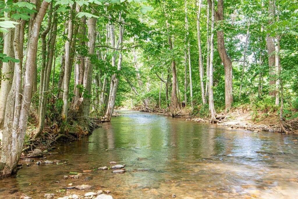 Photo of Outdoor in Weaverville