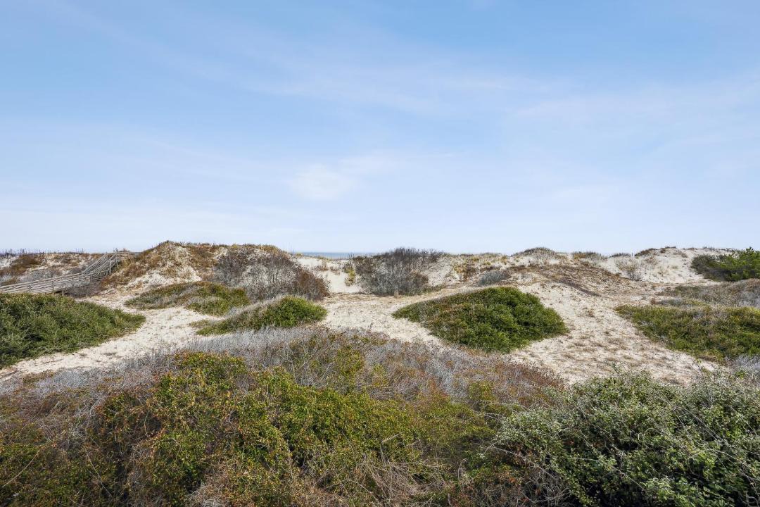 Photo of Outdoor in Ocean Sands