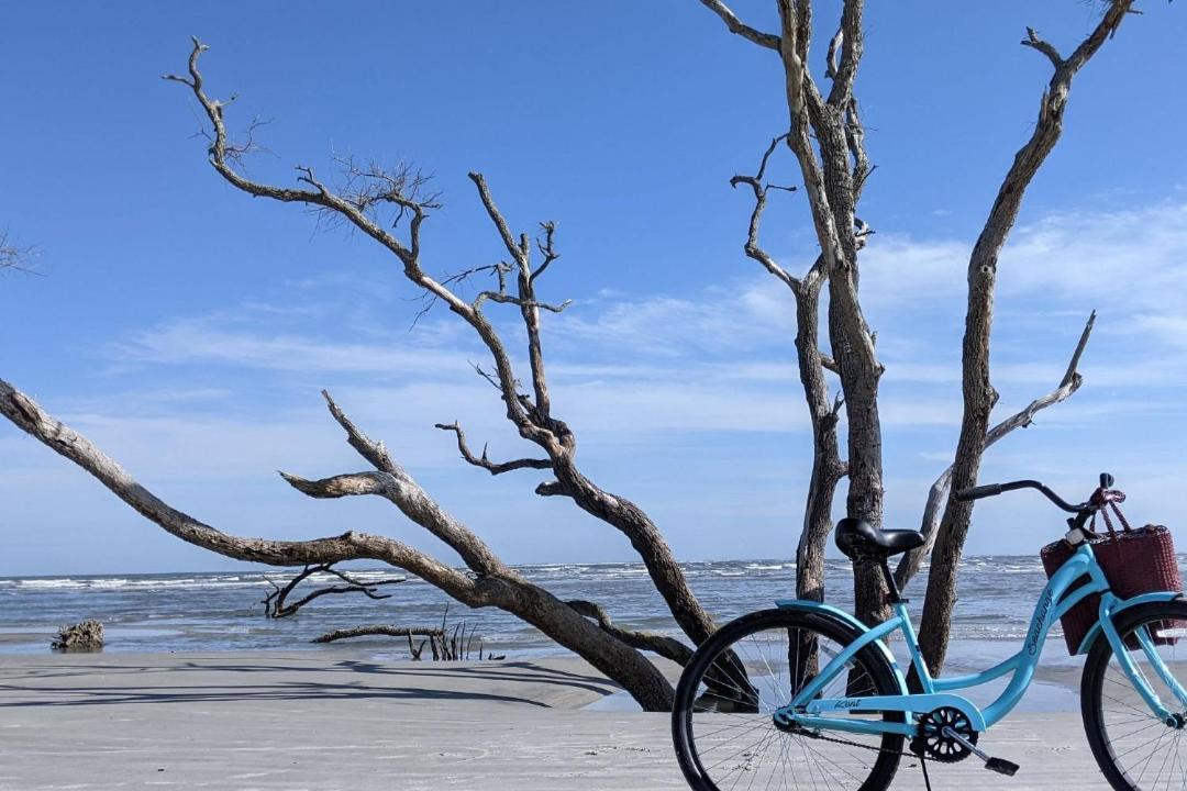 Photo of Others in Saint Helena Island