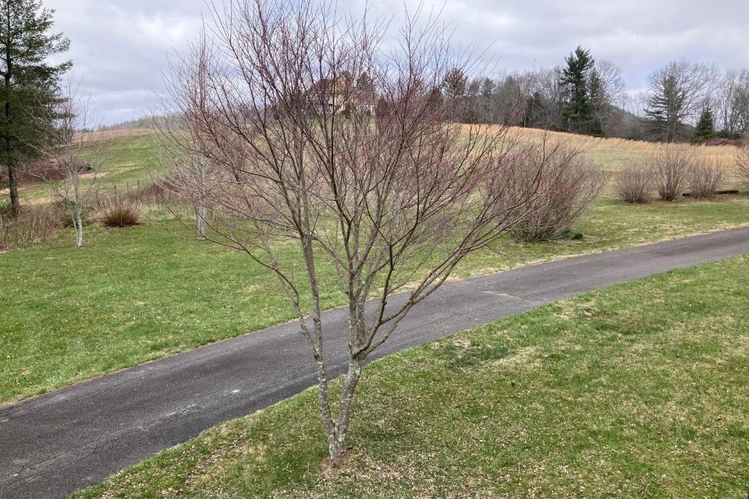 Photo of Others in Laurel Springs