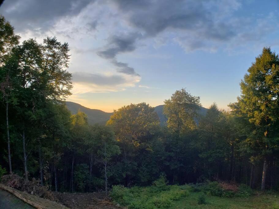 Photo of Outdoor in Hot Springs
