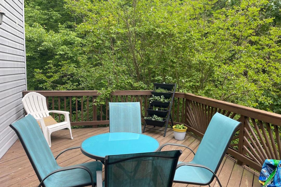 Photo of Patio Balcony in Kings Mountain