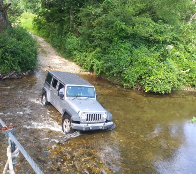 Photo of Others in Brevard