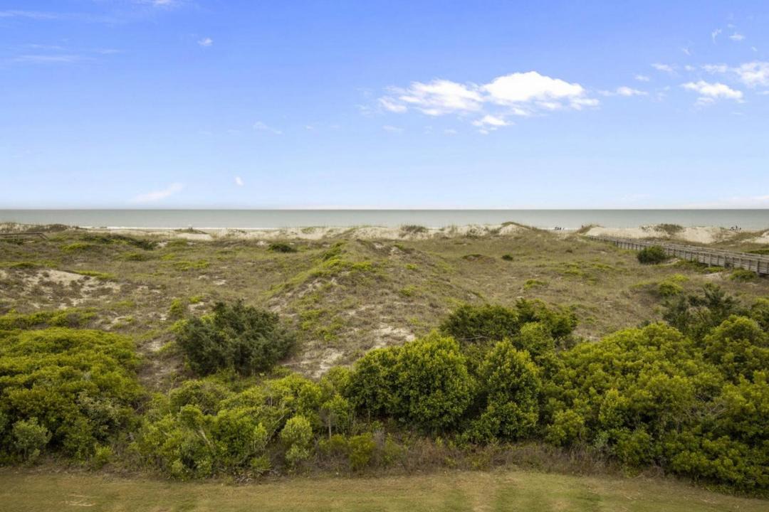 Photo of Outdoor in Morehead City