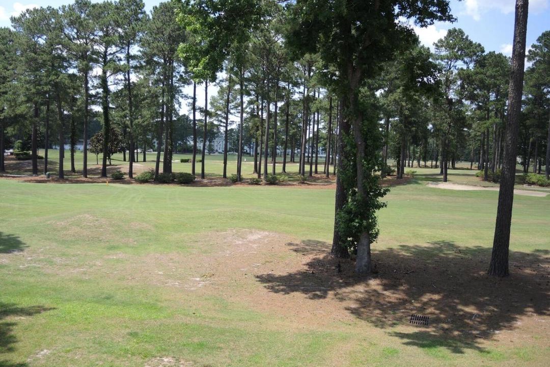 Photo of Outdoor in Calabash