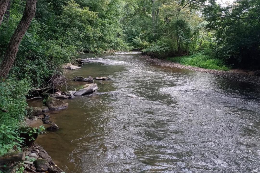Photo of Outdoor in Haywood County