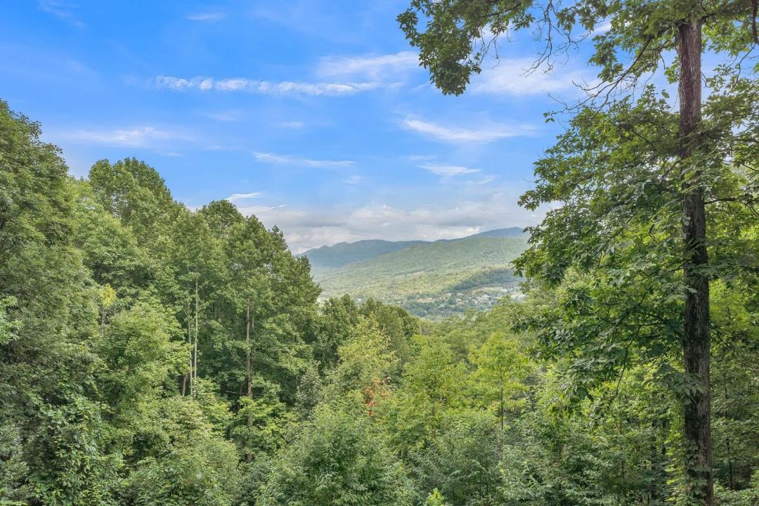 Photo of Others in Walker-In-the-Hills