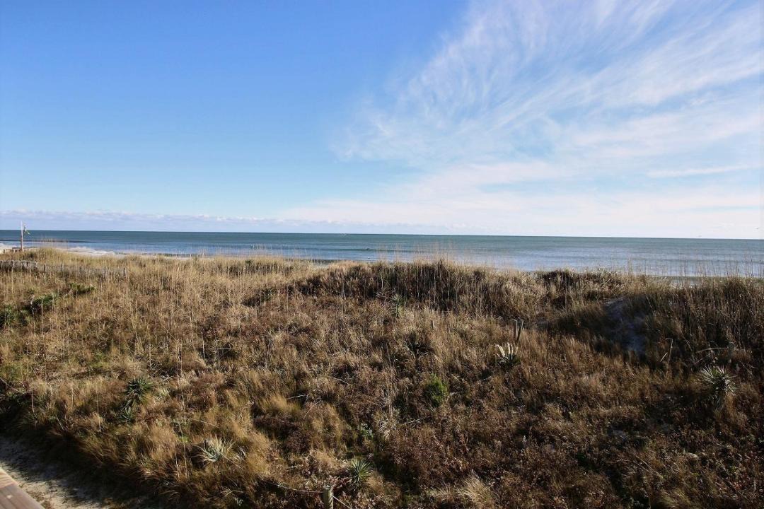 Photo of Others in Hatteras
