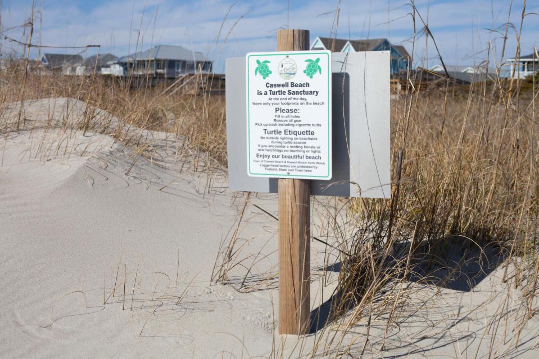 Photo of Others in Caswell Beach
