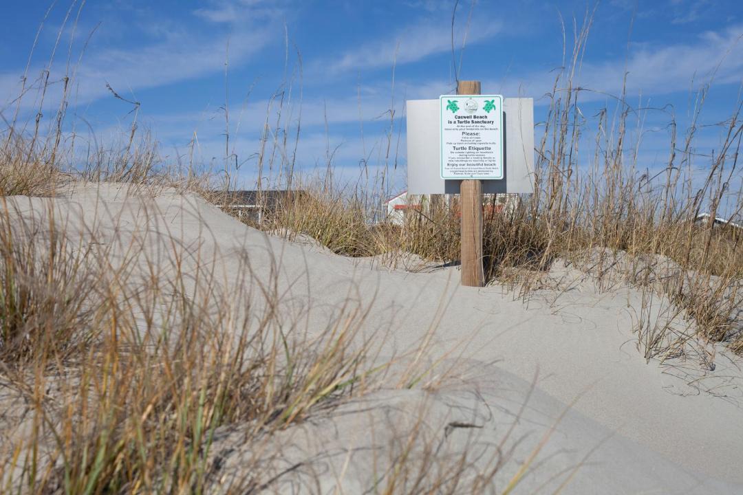 Photo of Others in Caswell Beach