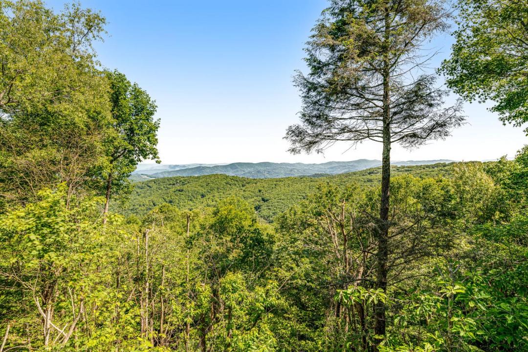 Photo of Others in Beech Mountain