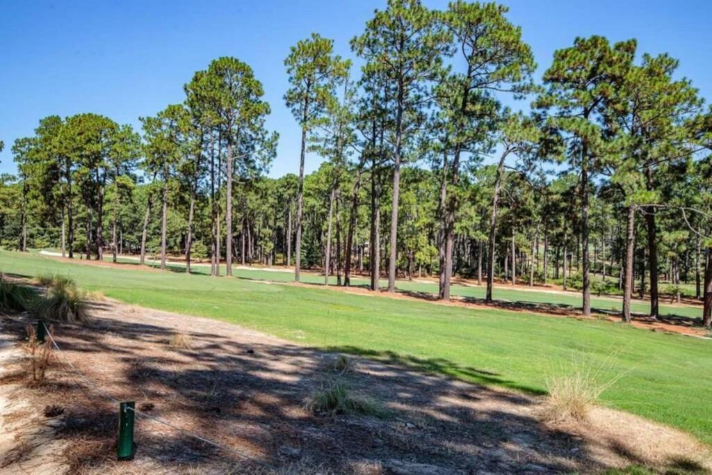 Photo of Others in Southern Pines