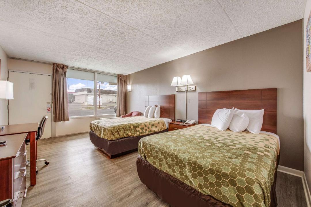 Photo of Bedroom in Eden