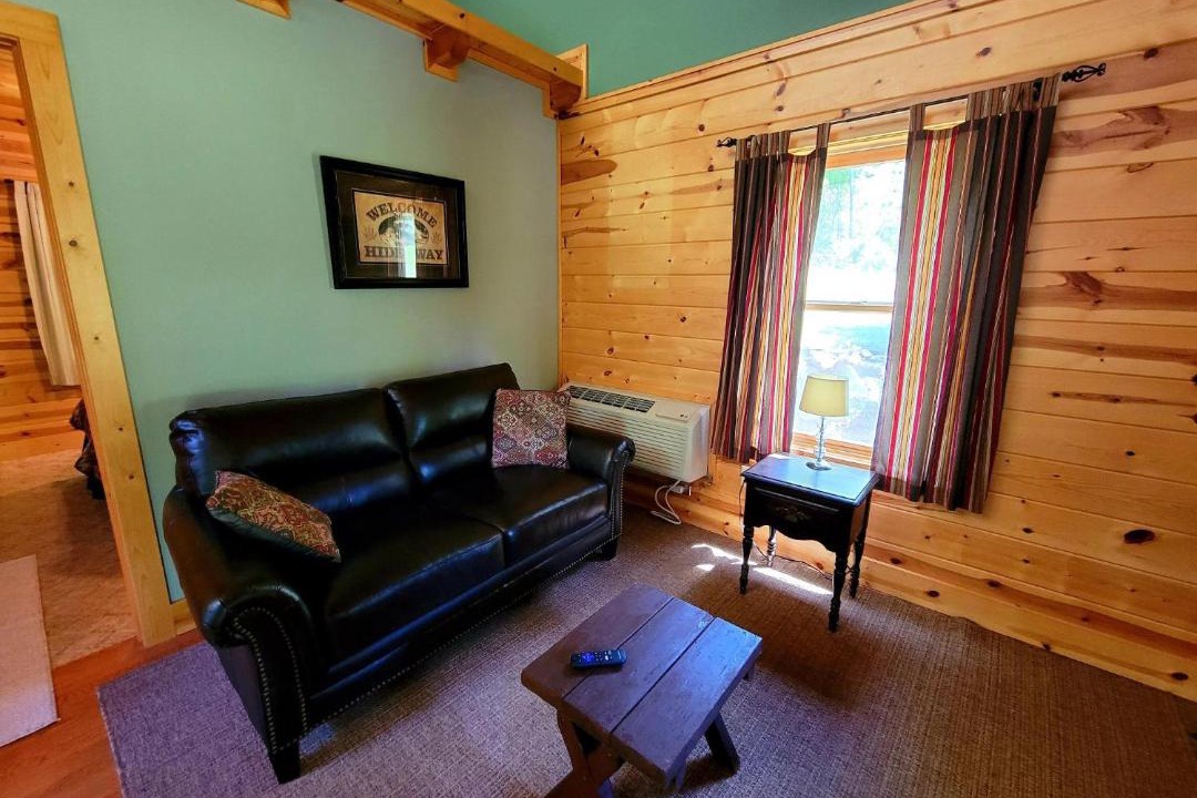 Photo of Livingroom in Sylva