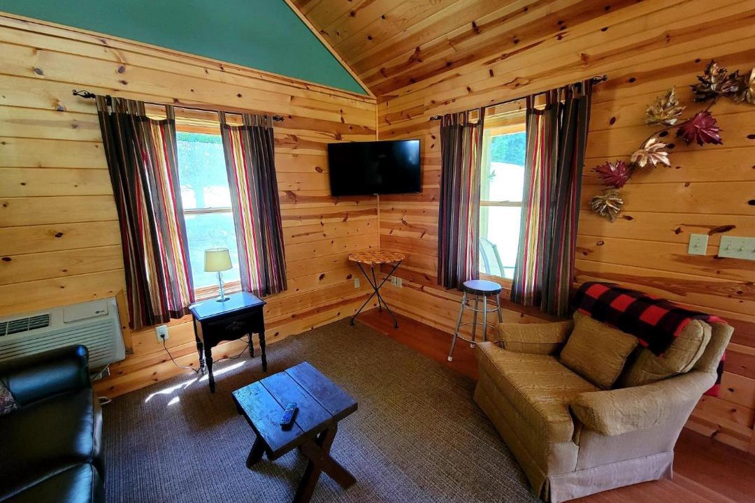 Photo of Livingroom in Sylva