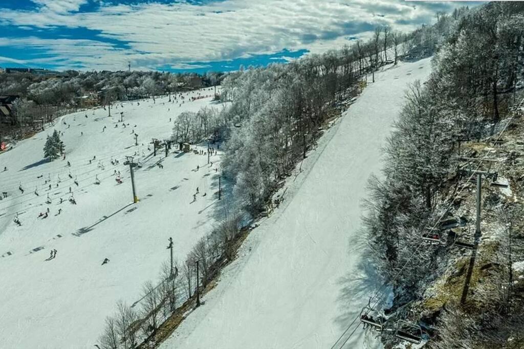 Photo of Others in Beech Mountain