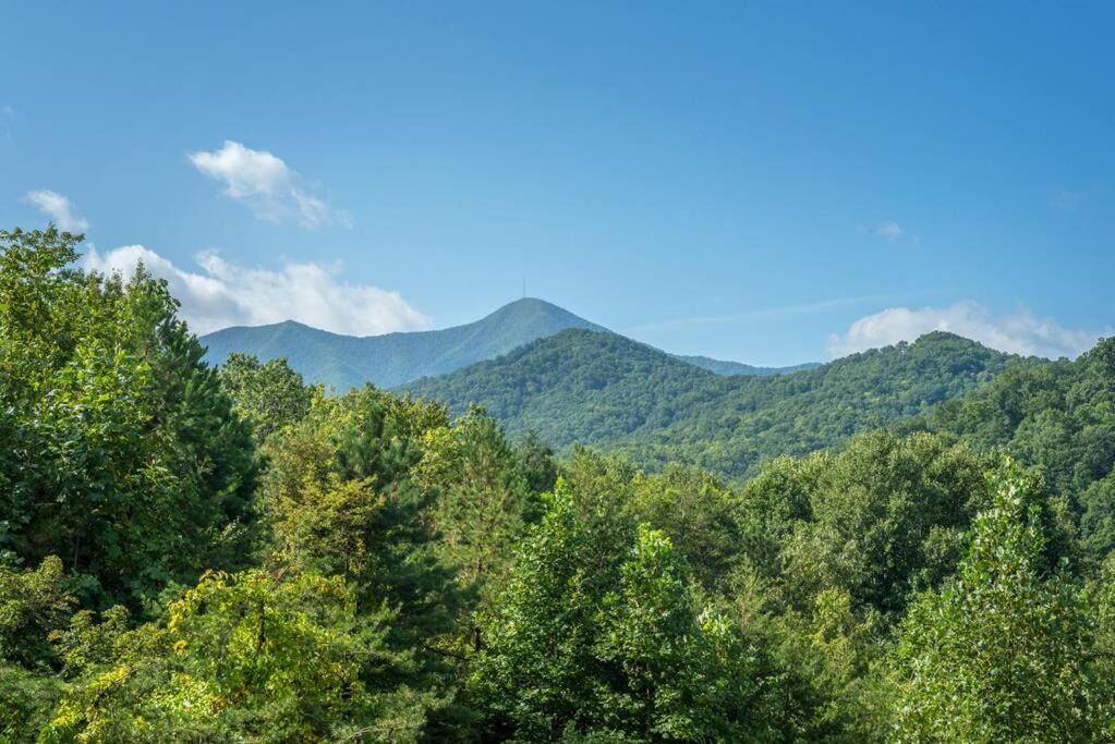 Photo of Outdoor in Candler