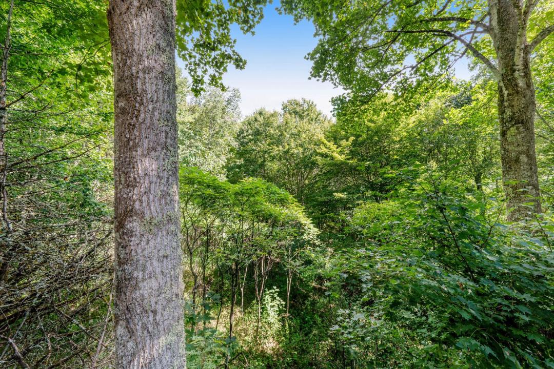 Photo of Outdoor in Banner Elk
