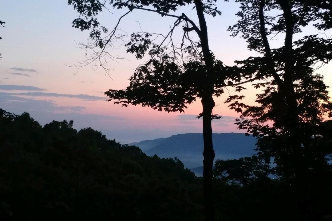 Photo of Others in Pisgah Forest