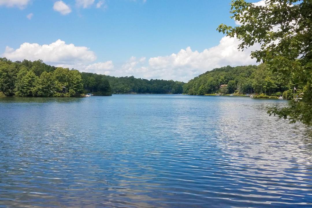 Photo of Outdoor in Brevard