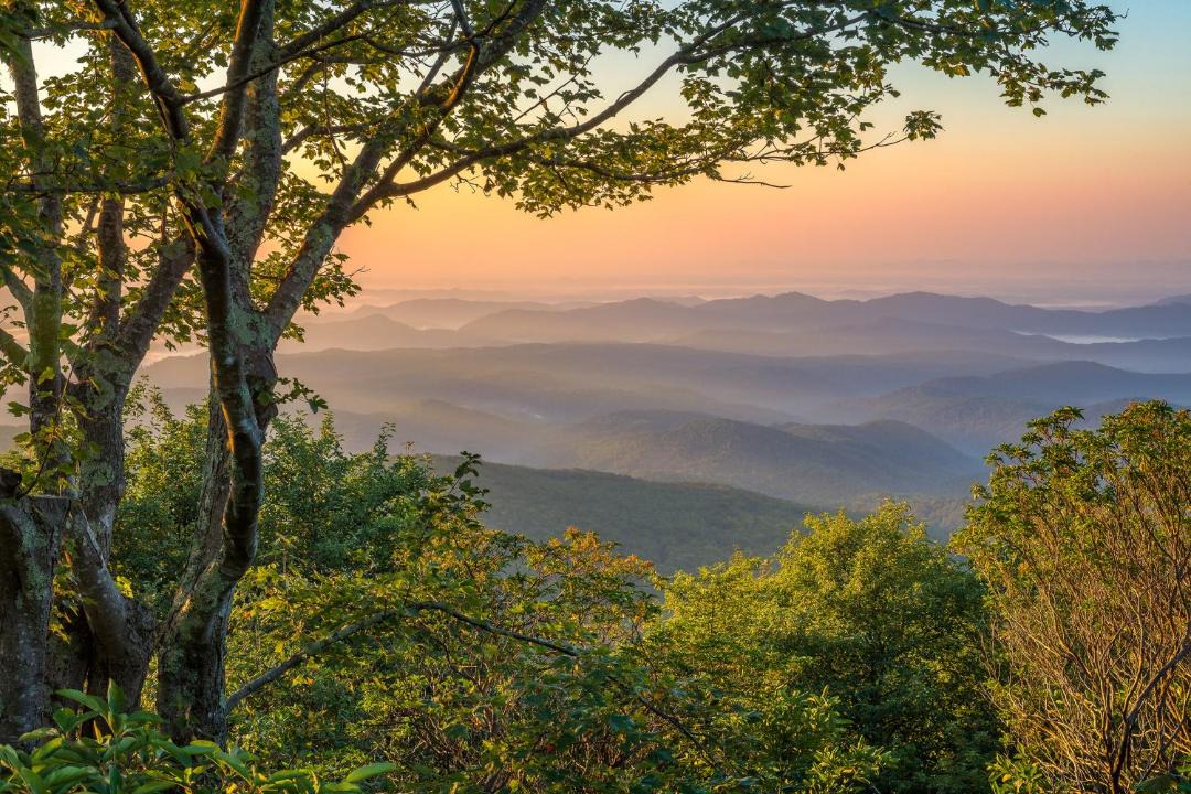 Photo of Outdoor in Hendersonville