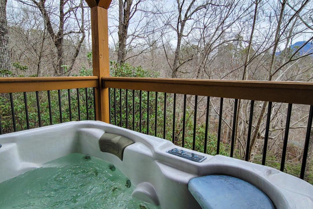 Photo of Others in Lake Lure