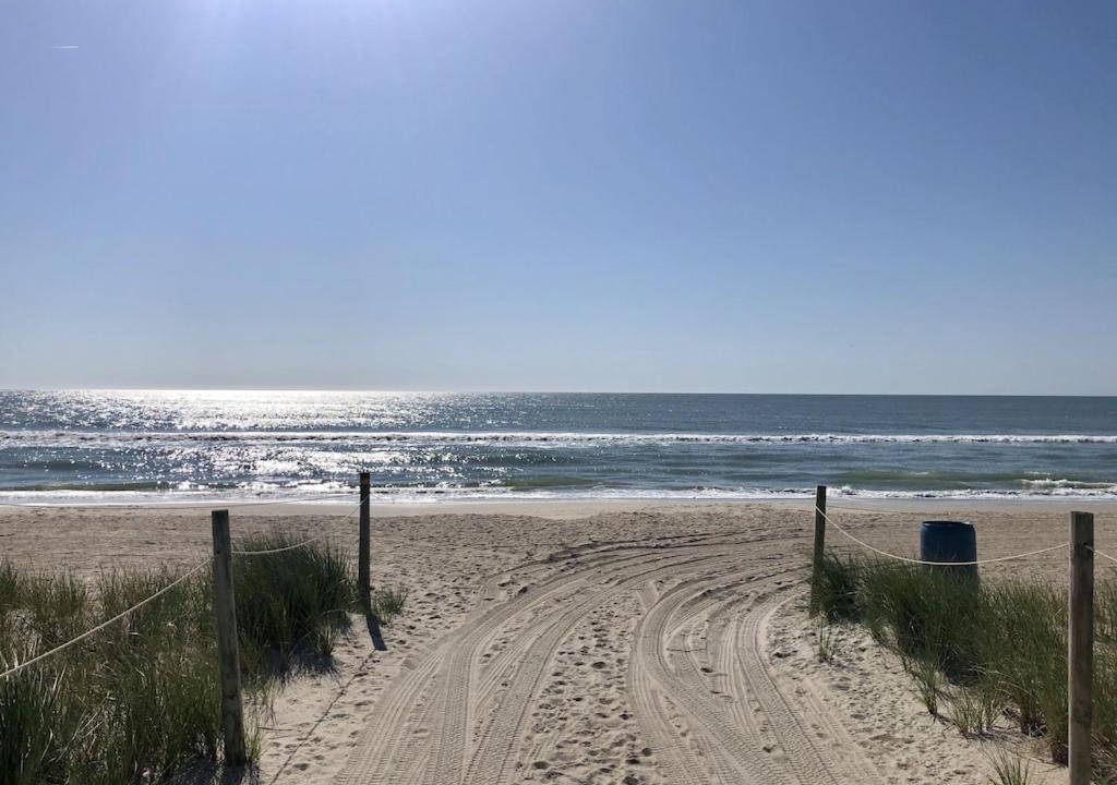 Photo of Others in North Carolina Coast