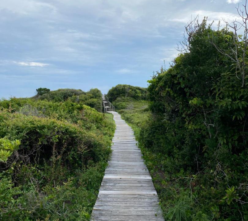 Photo of Others in Salter Path