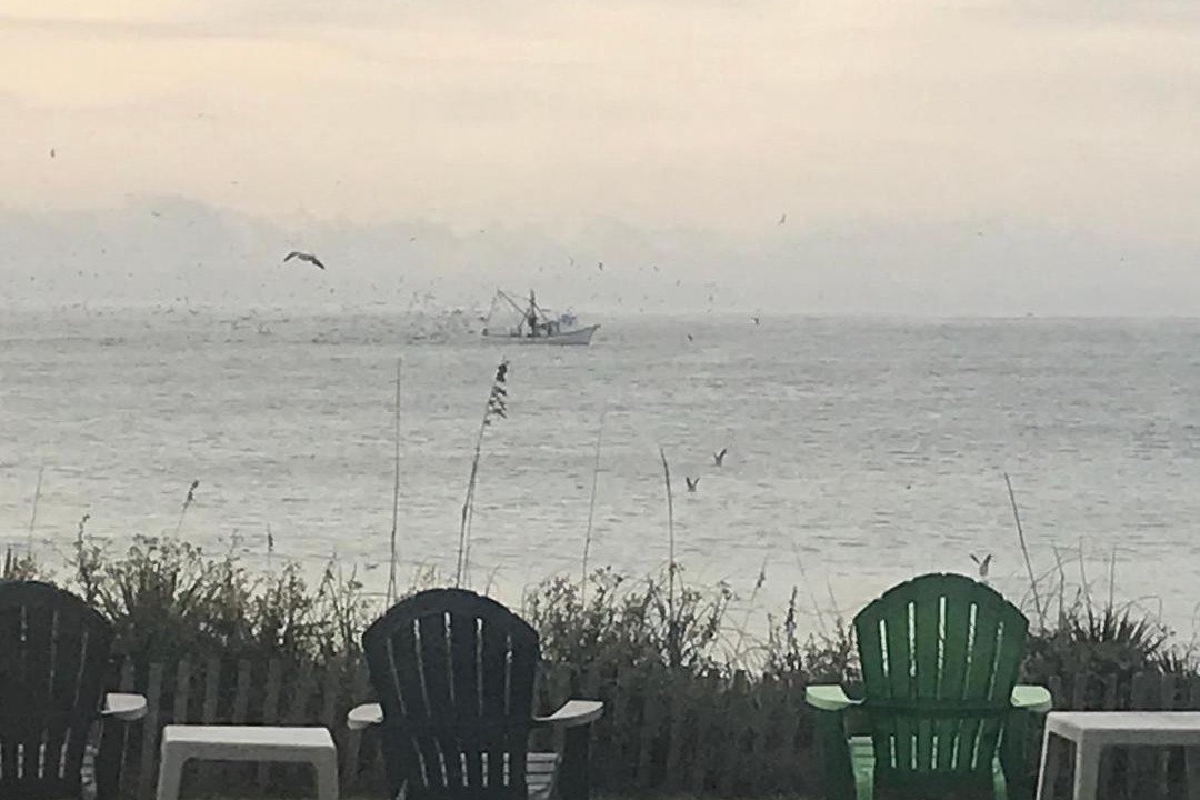 Photo of Others in Pine Knoll Shores