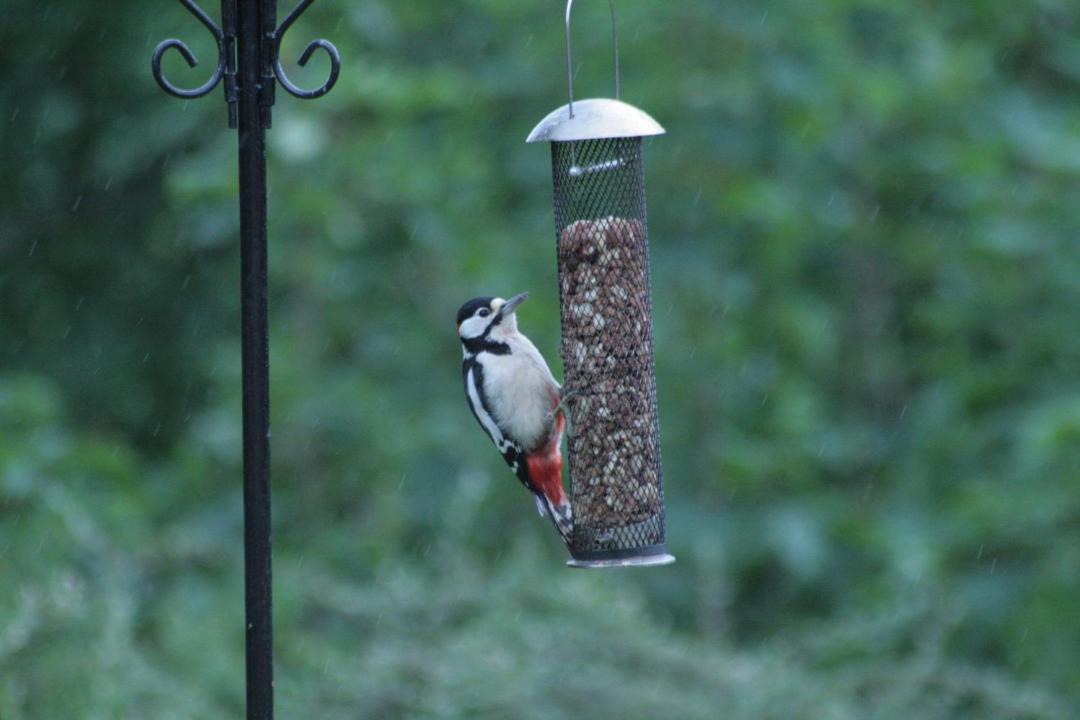 Photo of Others in Pitlochry