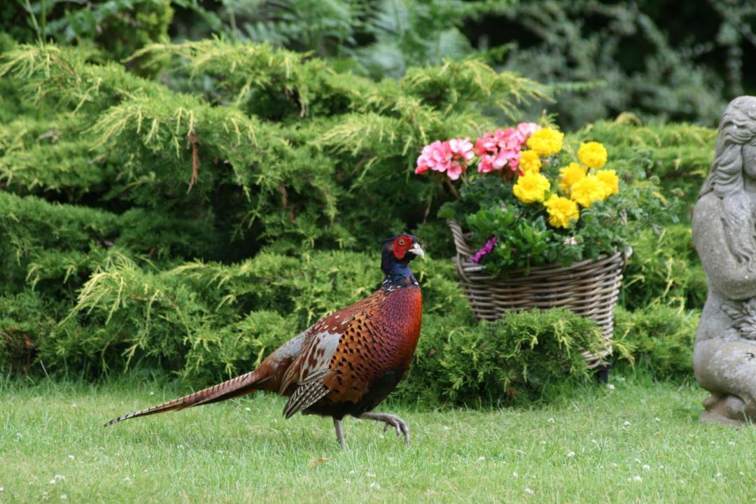 Photo of Others in Pitlochry