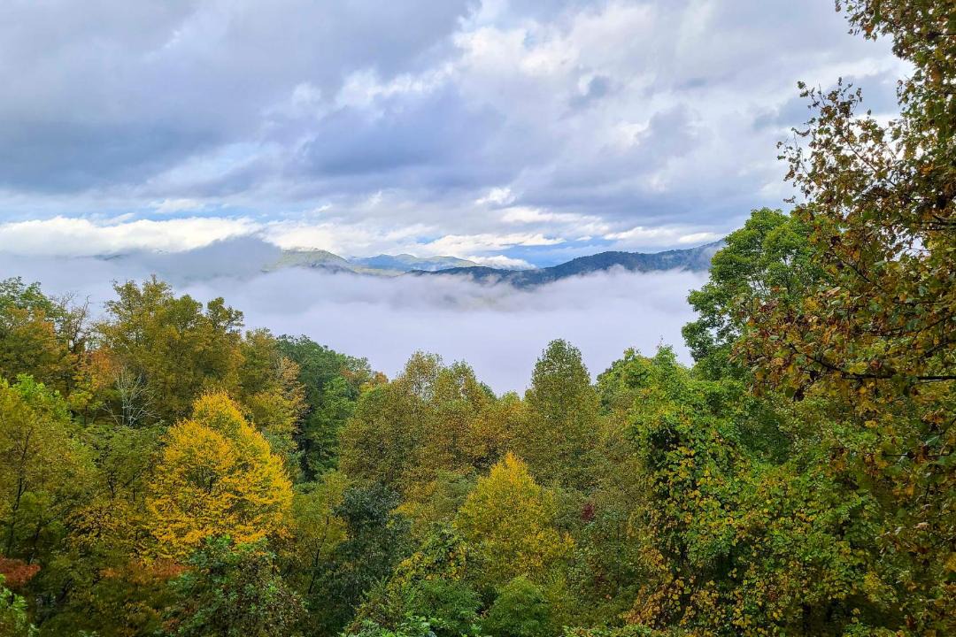 Photo of Others in Bryson City