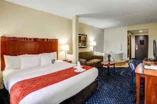 Photo of Bedroom in Skyland