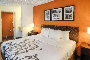 Photo of Bedroom in Pine Forest