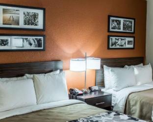 Photo of Bedroom in Pine Forest