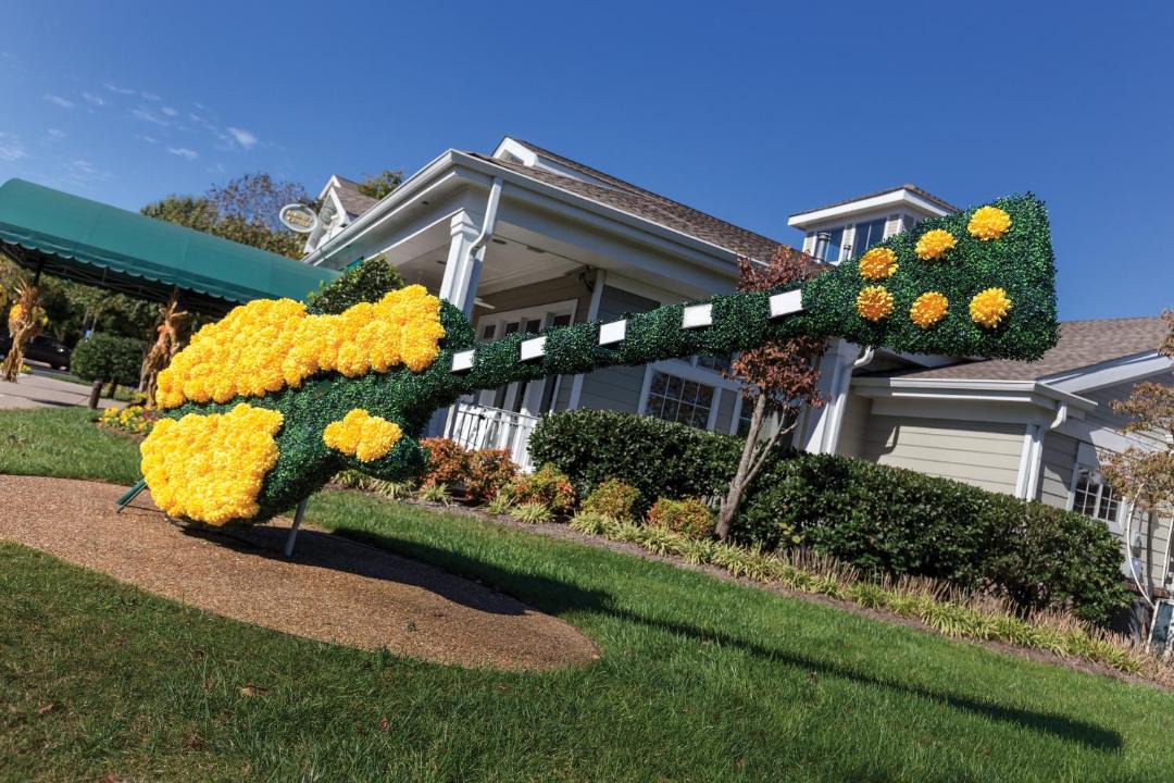 Photo of Others in Pennington Bend