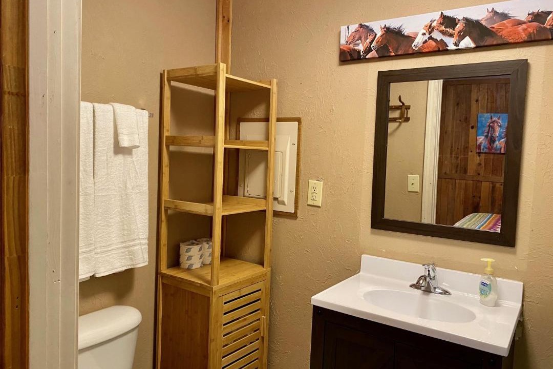 Photo of Bathroom in Ferguson
