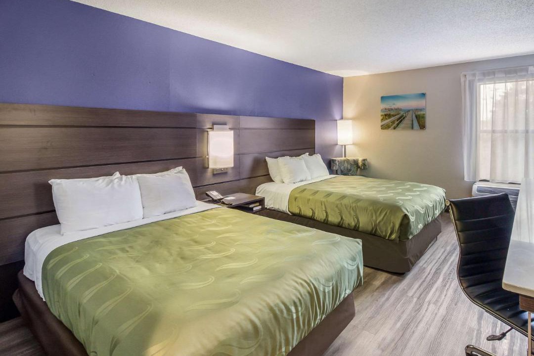 Photo of Bedroom in Havelock