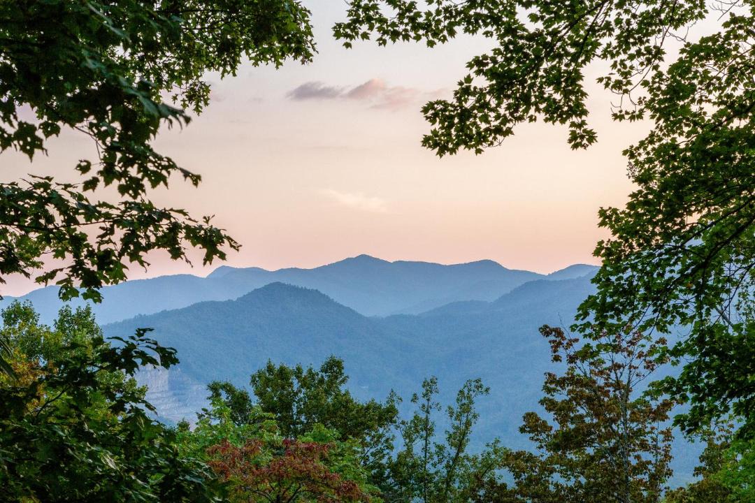 Photo of Outdoor in Sylva