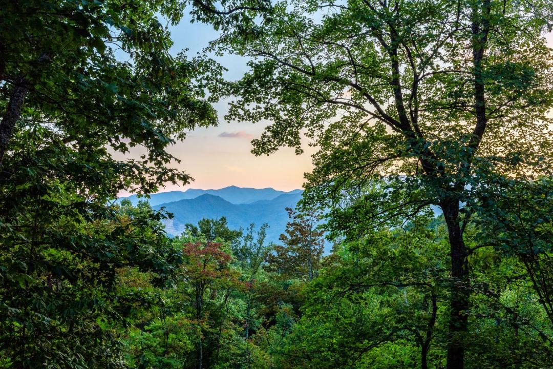 Photo of Outdoor in Sylva