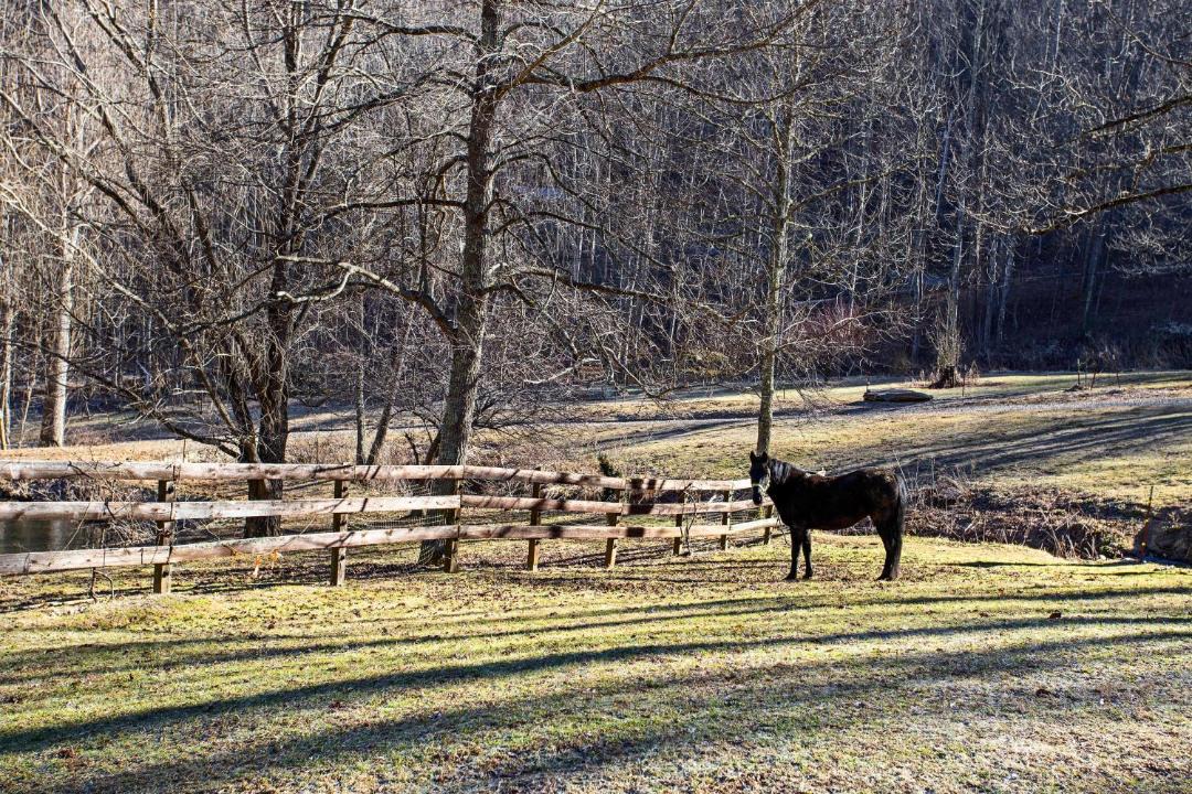 Photo of Others in Waynesville