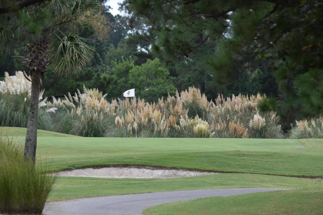 Photo of Outdoor in Calabash