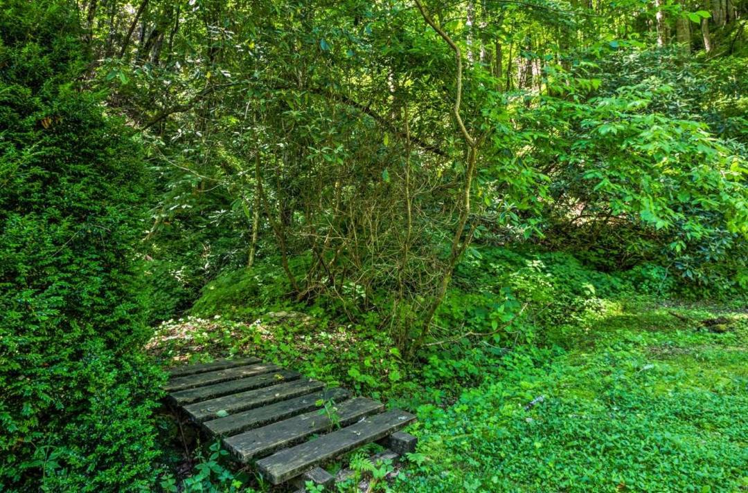 Photo of Others in Bryson City