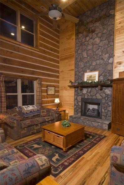 Photo of Livingroom in Todd
