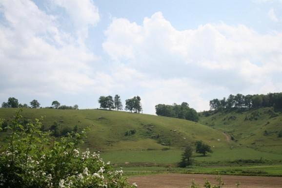 Photo of Outdoor in Todd