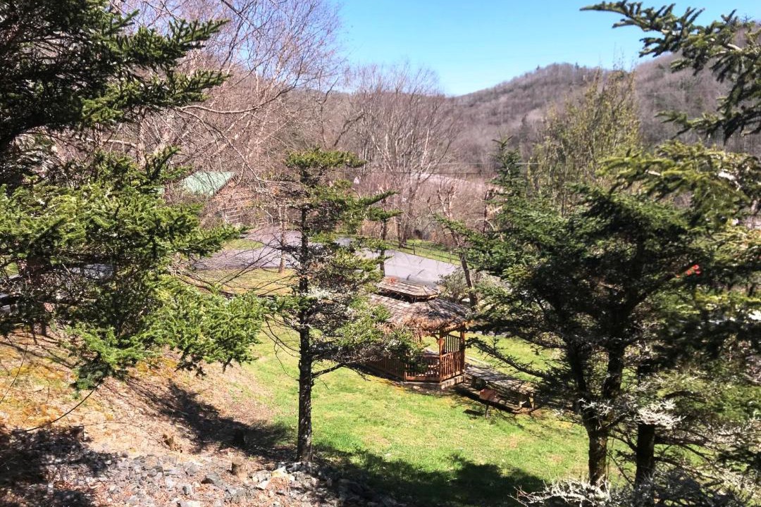 Photo of Others in Blowing Rock