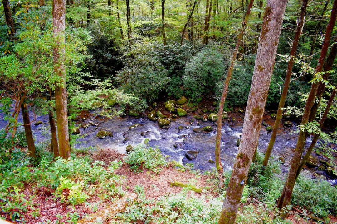 Photo of Others in Robbinsville